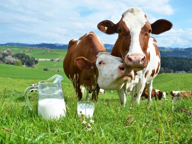 10 Benefits of Milk That You Neve