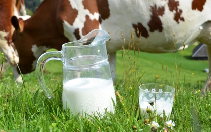 10 Benefits of Milk That You Never Knew Even When You Drink It Every Day