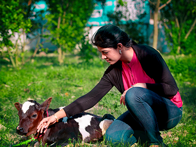 Advantages of ordering milk from ARYAN AGRO