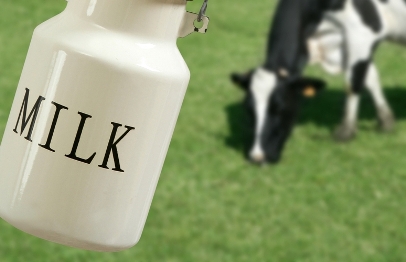 Benefits of cow milk, what are they?    